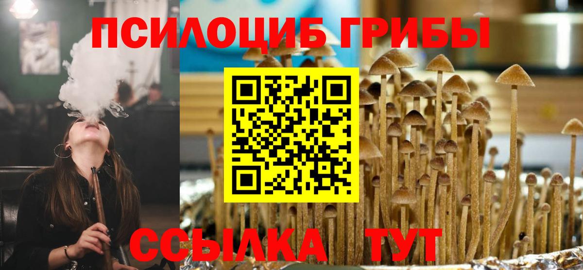 Псилоцибиновые грибы Psilocybine cubensis Красноперекопск